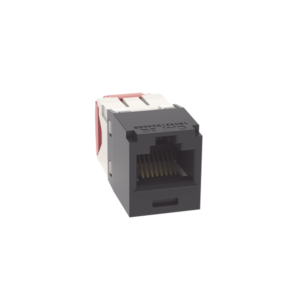 Panduit Cj5e88tgbl FREE