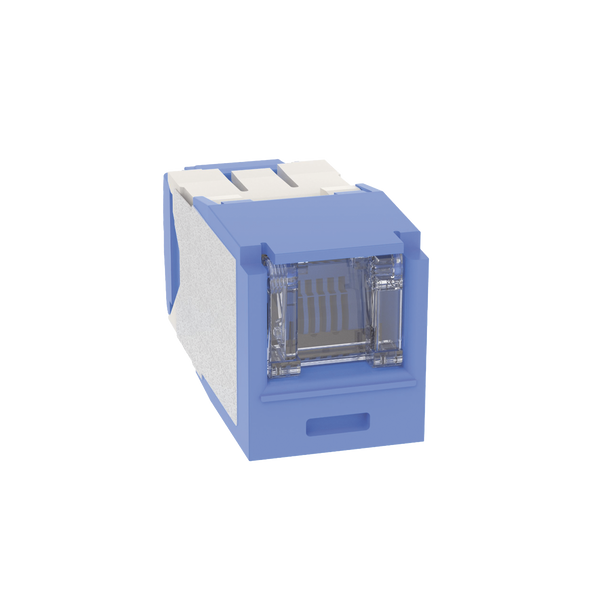 Panduit Cjh6x88tgbu Cat6A FREE