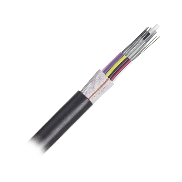 Panduit Fotnz24 FREE