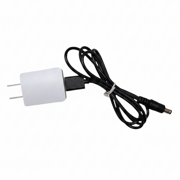 Masspower Fuente5v1a 5V 1A