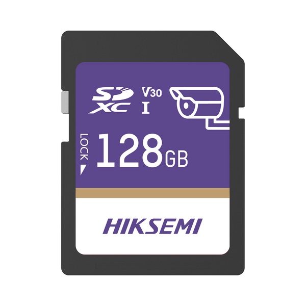 Hiksemi Hssdp10/128g/guardpro FREE