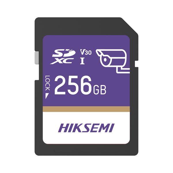 Hiksemi Hssdp10/256g/guardpro 256Gb 🆓