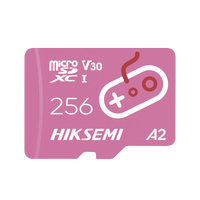 Hiksemi Hstfg2/256G 256Gb s 🆓·․