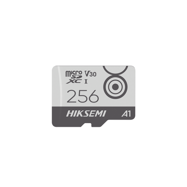Hiksemi Hstfm1/256g 256Gb FREE