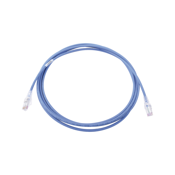 Siemon Mc61006b FREE