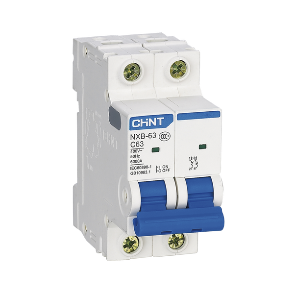 Chint Nxb632pc10 10A FREE