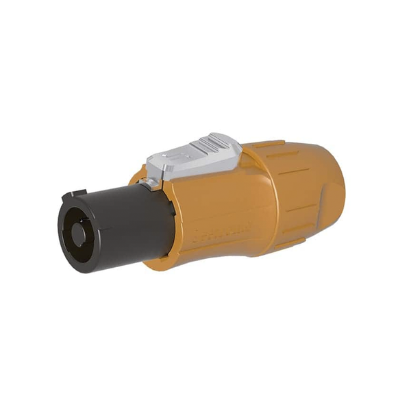 Seetronic Sac3fcanw FREE