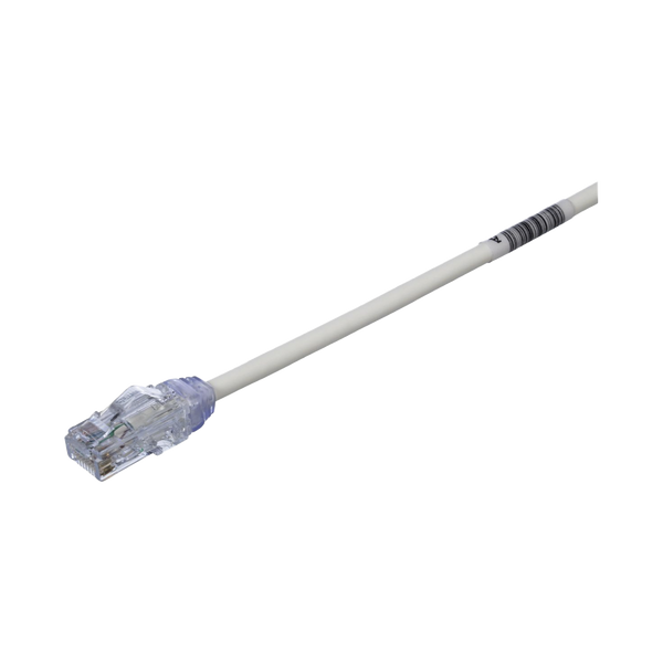 Panduit Utp28x1 FREE