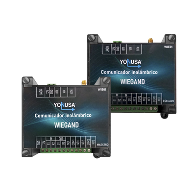 Yonusa Wie01 FREE