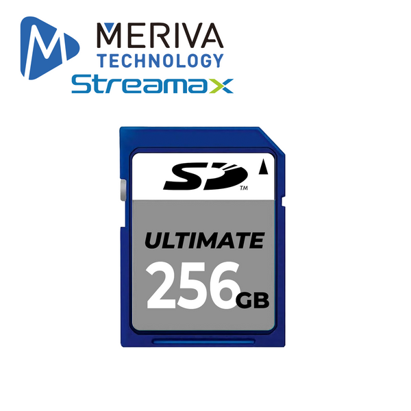 Meriva Msd256gb