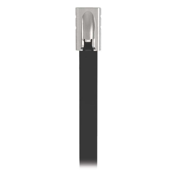 Panduit Mltfc6scp316 100Pzs FREE