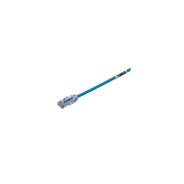 Panduit Utp28x30bu Cat6a 9.1M FREE