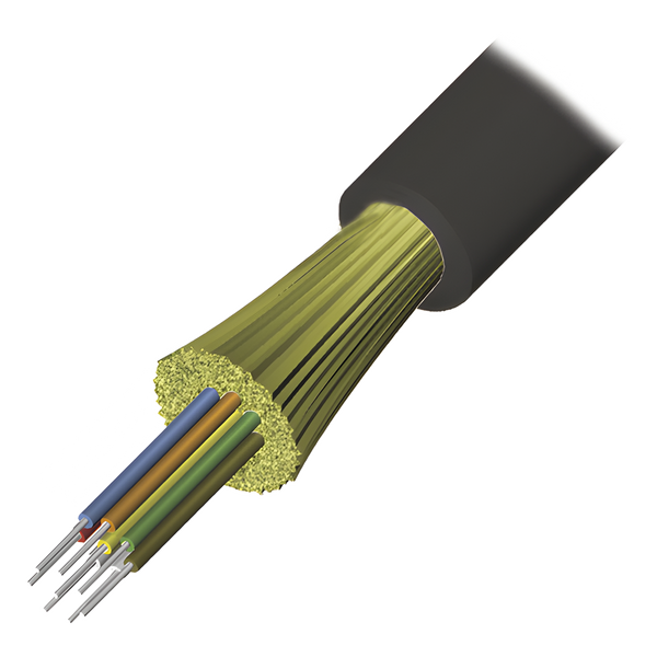 Siemon 9gd8p004ce201a FREE