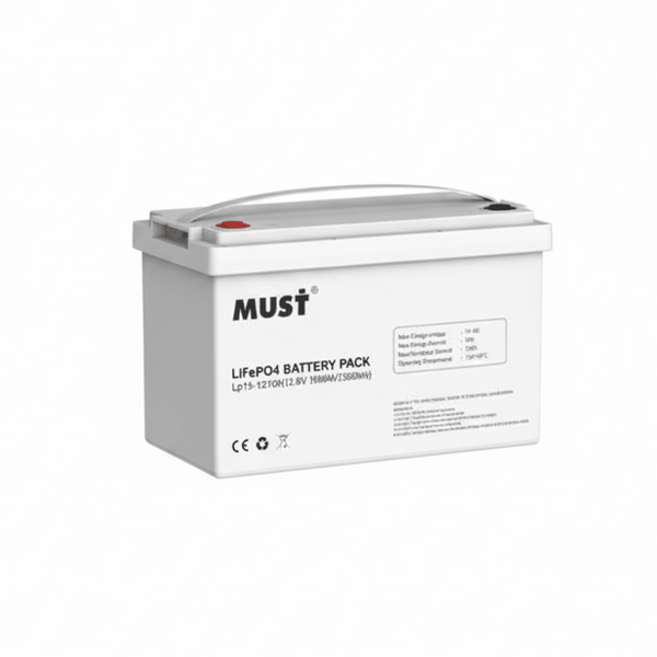 Must Lp1512100 12V 100Ah FREE