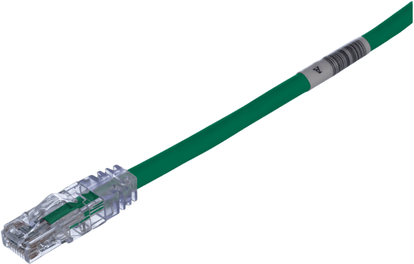 Panduit Utpsp10gry Cat6 3.05M Verde FREE