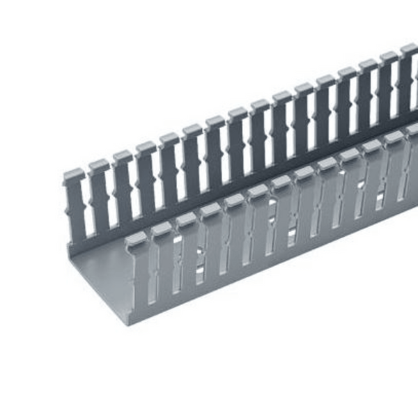 Panduit F2x3lg6 3.14M FREE