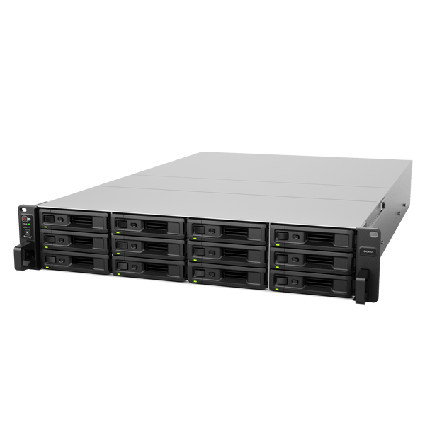 Synology Sa3410 FREE