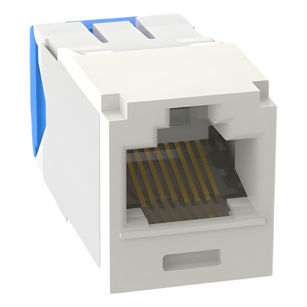 Panduit Cje6x88tgiw Cat6a FREE