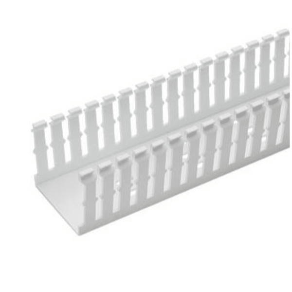 Panduit F1x2wh6 1.M FREE