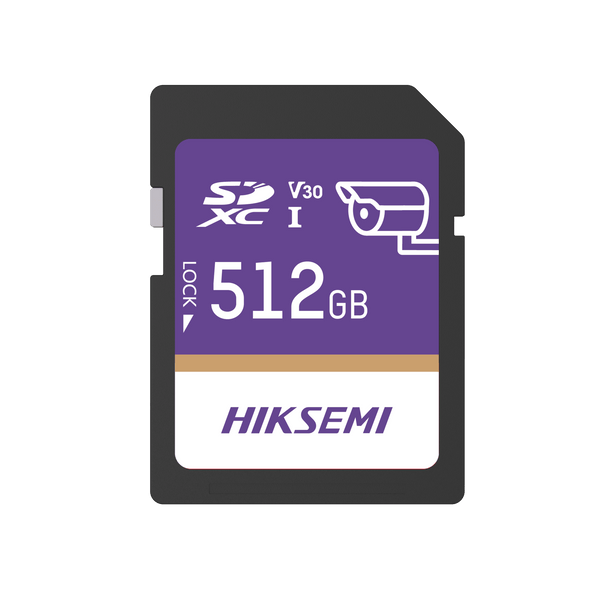 Hiksemi Hssdp10/512g/guardpro FREE
