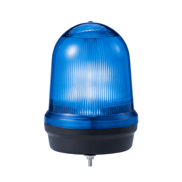 Qlight Mfl125012024b FREE