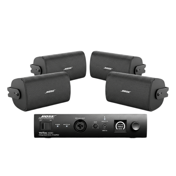 Bose 1100bh/4ws2 FREE