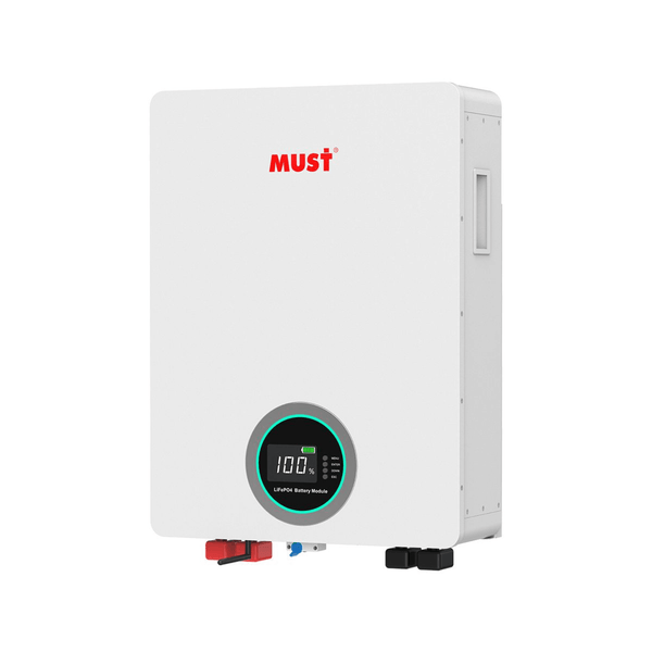 Must Lp1648100 51.2V 100Ah FREE
