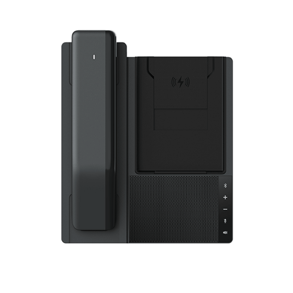 Fanvil Db20h FREE