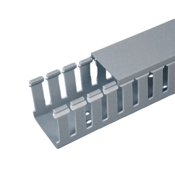 Panduit Fc1x4lg2 2M FREE