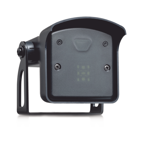 Bea 10falcon FREE