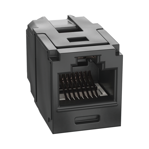 Panduit Cc6x88bl Cople Cat6A FREE