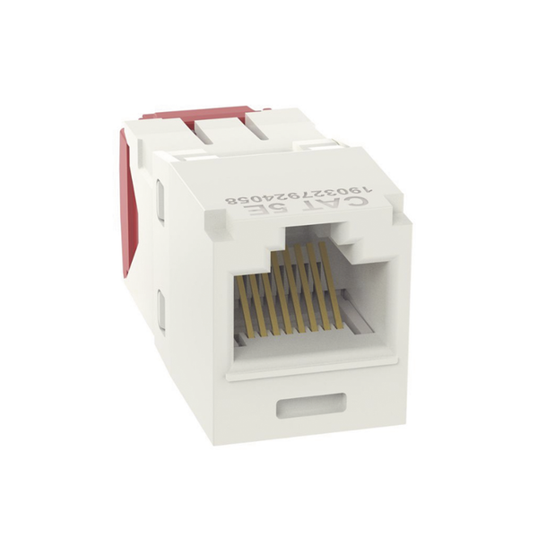 Panduit Cj5e88tgiw Cat5E FREE