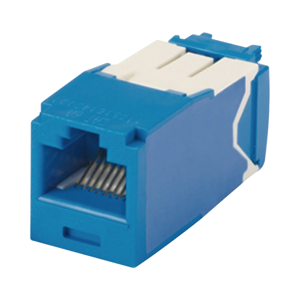 Panduit Cj6x88tgbu Cat6A FREE