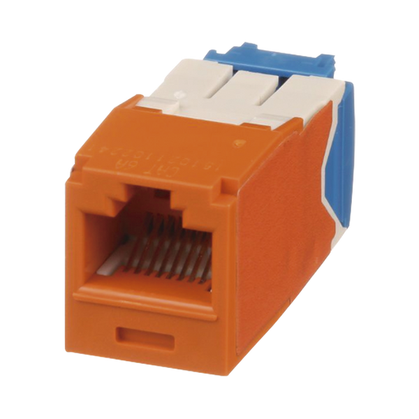 Panduit Cj6x88tgor Cat6A FREE