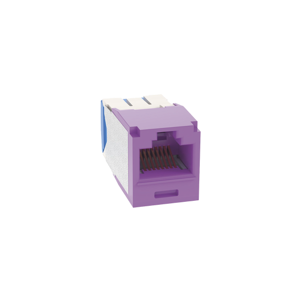Panduit Cj6x88tgvl Cat6A FREE