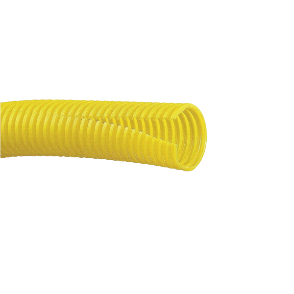 Panduit Clt150fx4 3.1M FREE