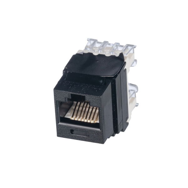 Panduit Drj688tgbl Cat6 FREE