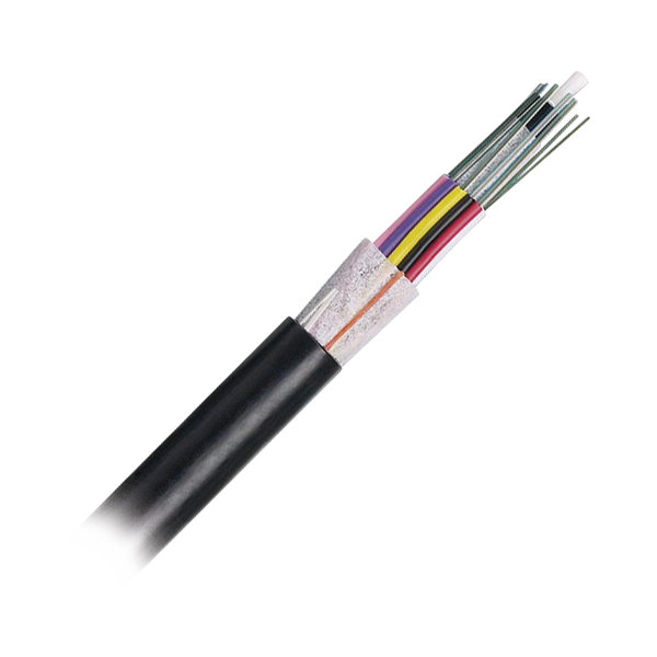 Panduit Fotnx12 1M FREE