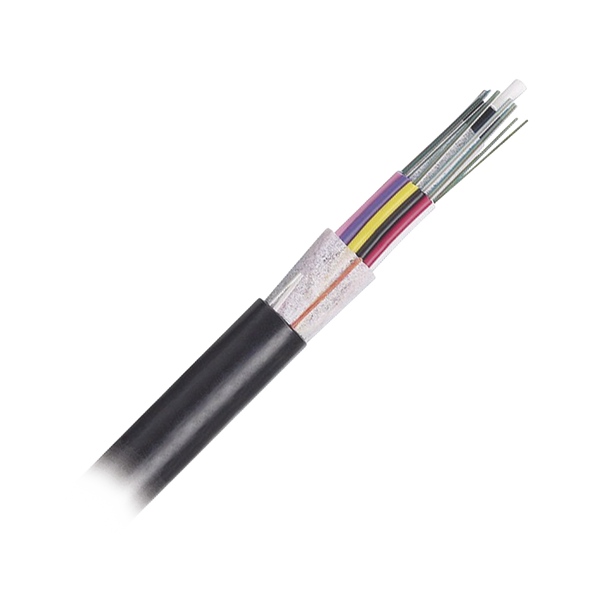 Panduit Fotnz12 1M FREE