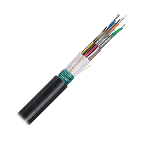 Panduit Fownx06 FREE