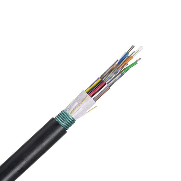 Panduit Fownz12 1M FREE