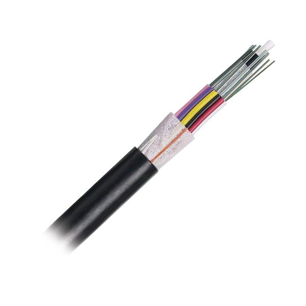 Panduit Fstn924 1M FREE