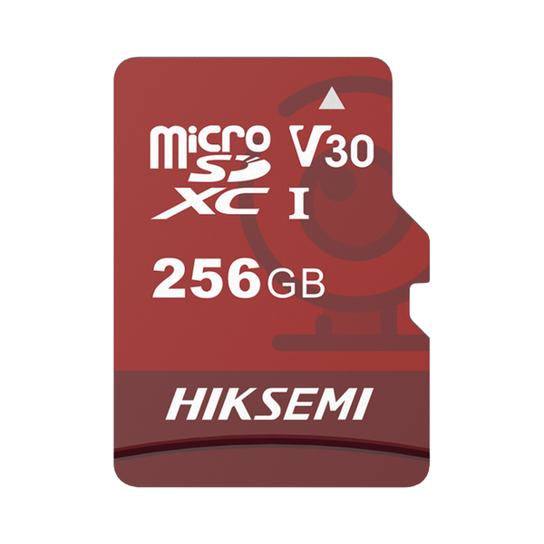 Hiksemi Hstfe1/256g 256Gb FREE