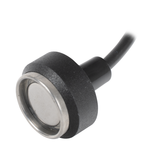 Ruptela Lectoributton FREE