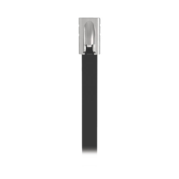 Panduit Mltfc6scp316 100Pzs FREE
