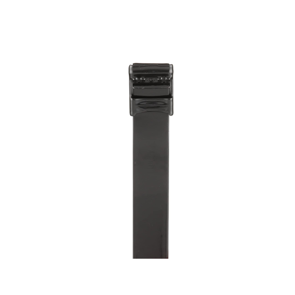 Panduit Msc8w50t15l6 50Pzs FREE