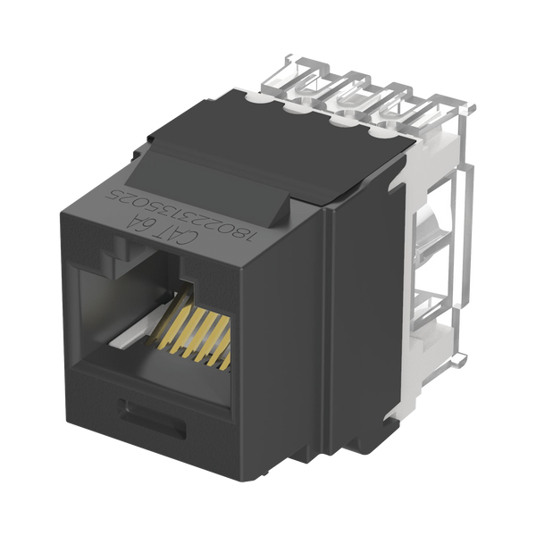 Panduit Nk6x88mbl Cat6A FREE