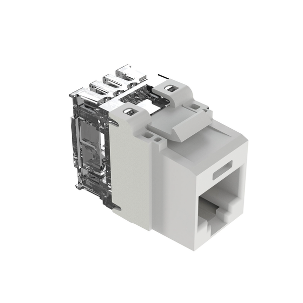 Panduit Nk6x88mwh Cat6A FREE