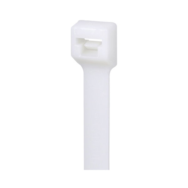 Panduit Plt1.5mm 1000Pzs FREE