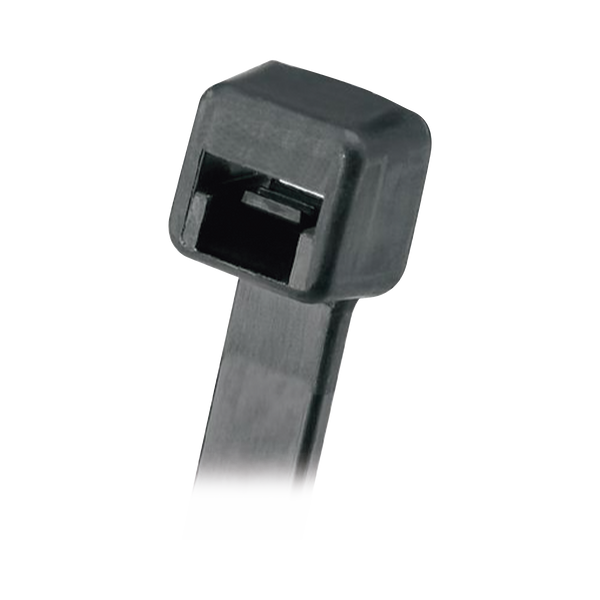 Panduit Plt2im30 1000Pzs FREE